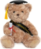 Celebrate Their Big Moment with the Perfect Graduation Gift: A Charming Teddy Bear with Doctoral Tam & Diploma!
